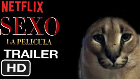 sexo la pelicula|Sexo:La Película Trailer Oficial Verano 2022 .